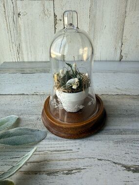 Vintage Neutral Spring Decor Glass Cloche Flower Pot Bird Nest Handmade Decor